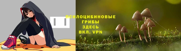 ALPHA PVP Майский