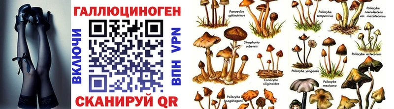 Купить где  Моршанск  Псилоцибиновые грибы мухоморы 
